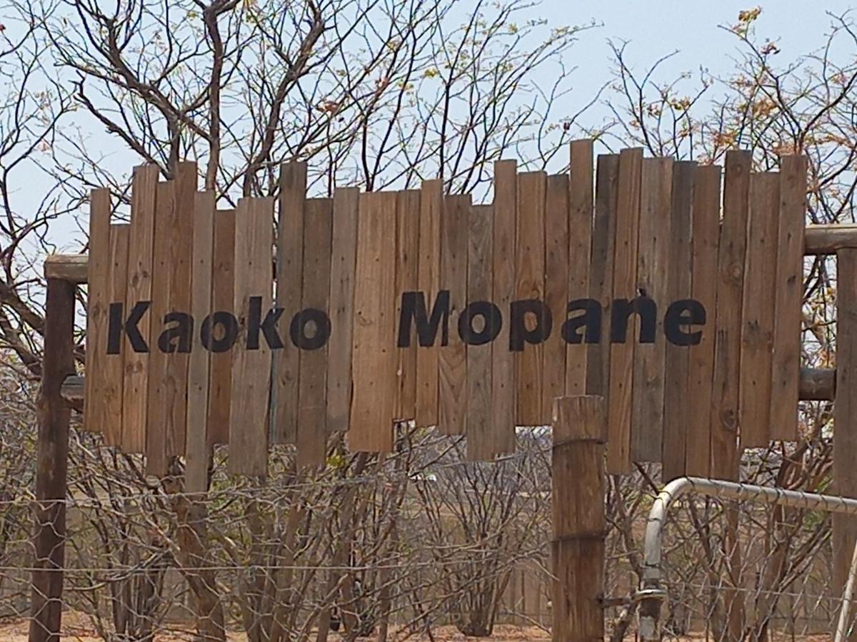 Kaoko Mopane Lodge & Campsite Opuwo 外观 照片